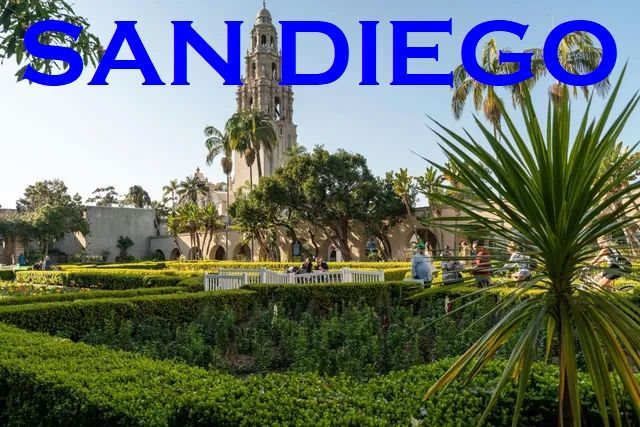 A picture of san diego with a palm tree in the foreground