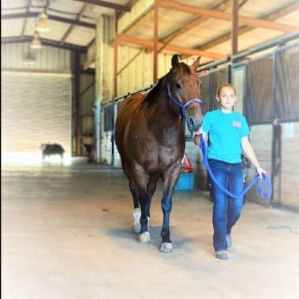 A Western horseback riding lesson in Nacogdoches TX at Pine Top Stables and Grounds