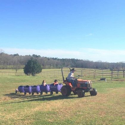 Host your next birthday with Happy Hooves Birthday Parties in Nacogdoches TX in Pine Top Stables and Grounds