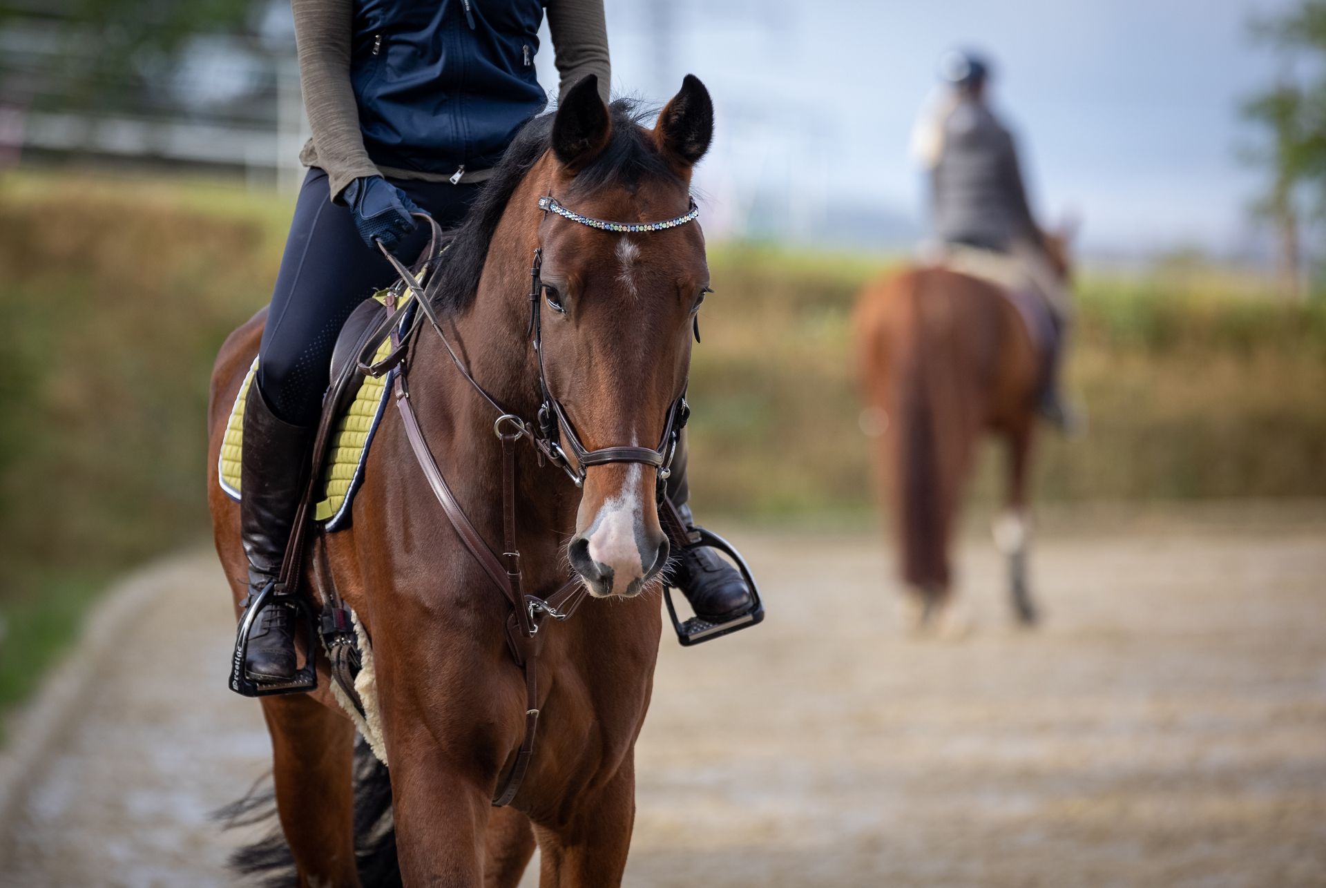 For Western riding lessons in Nacogdoches TX in Pine Top Stables and Grounds