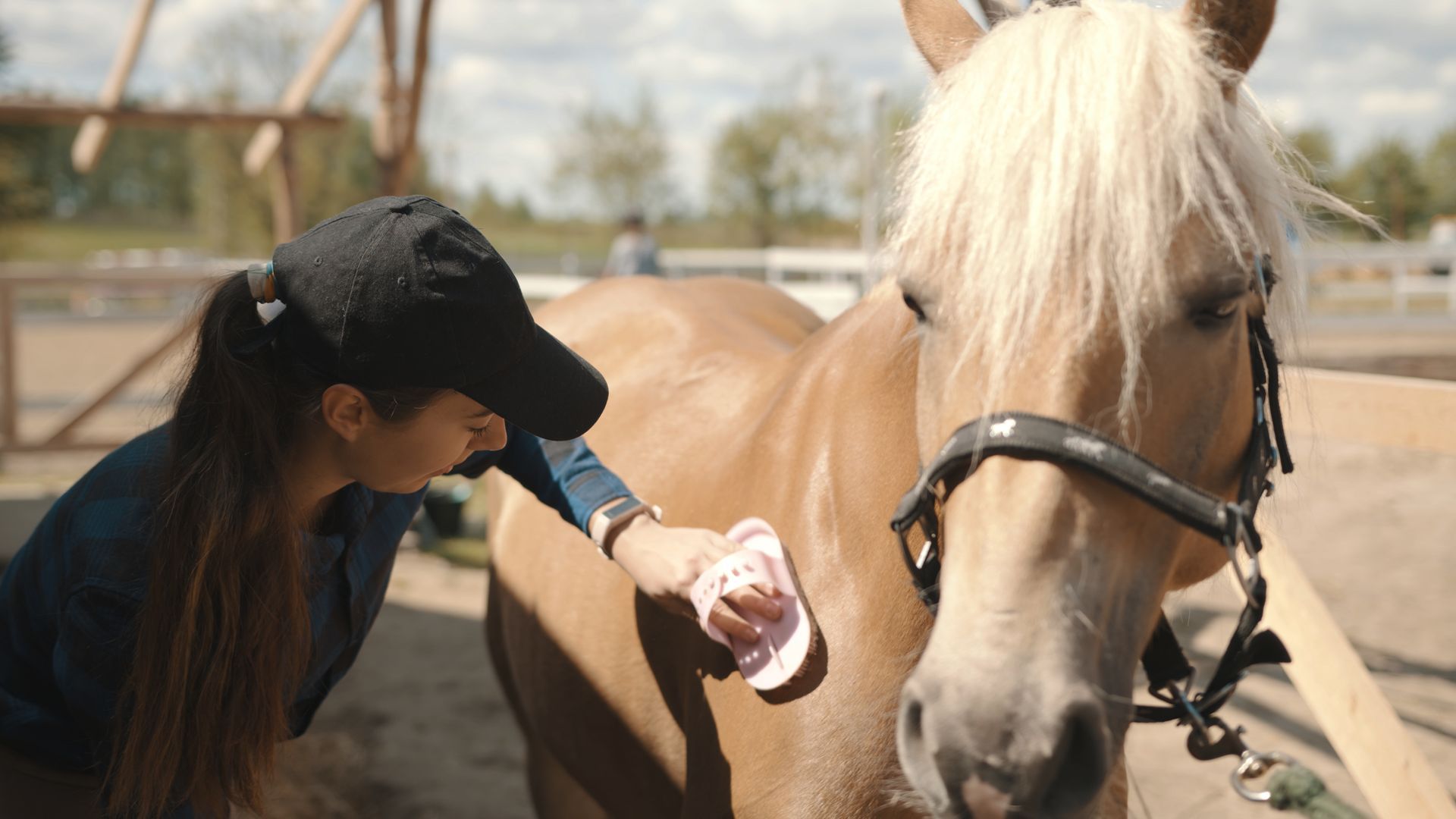 For horse hotels in Nacogdoches TX in Pine Top Stables and Grounds