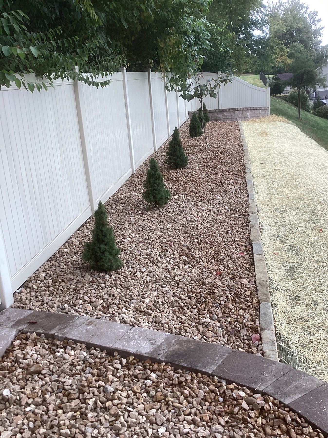 Shrub — Arnold, MO — Red Oak Landscaping
