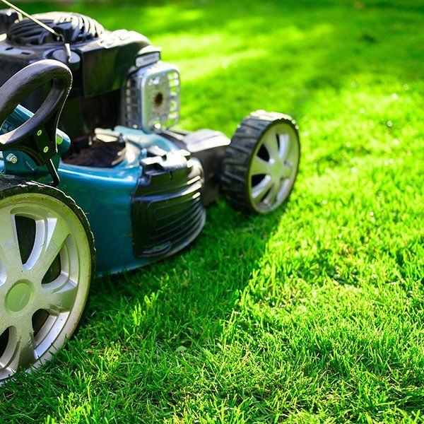 Lawn Care — Arnold, MO — Red Oak Landscaping