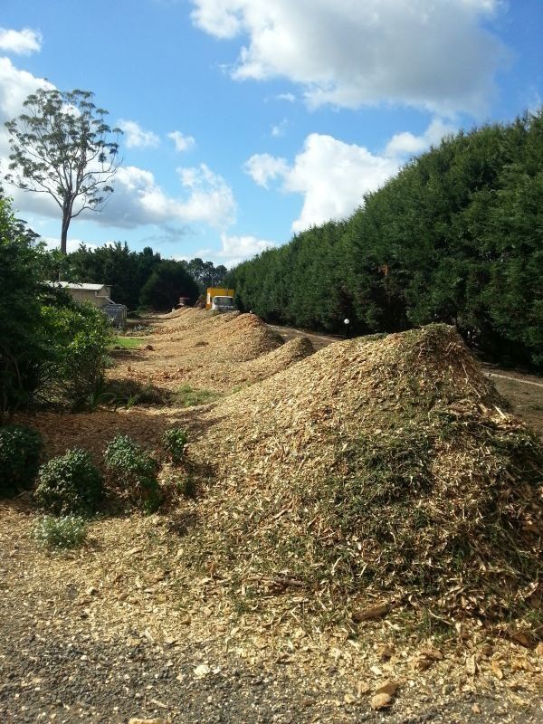 Lots of Tree Mulch - Arborists in the Lockyer Valley, QLD
