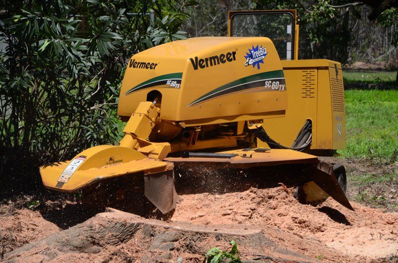 Stump grinder —  Arborists in the Lockyer Valley, QLD