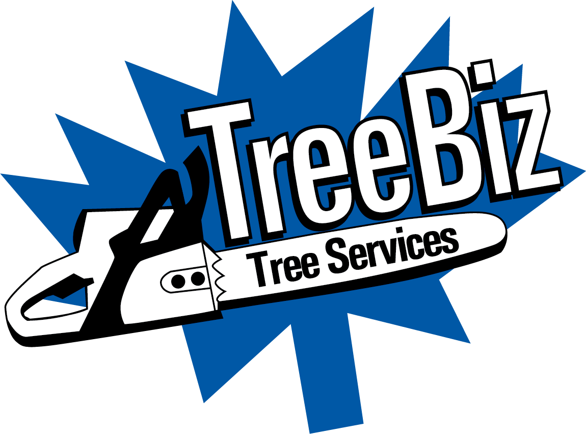 TreeBiz Tree Services | Arborists Toowoomba