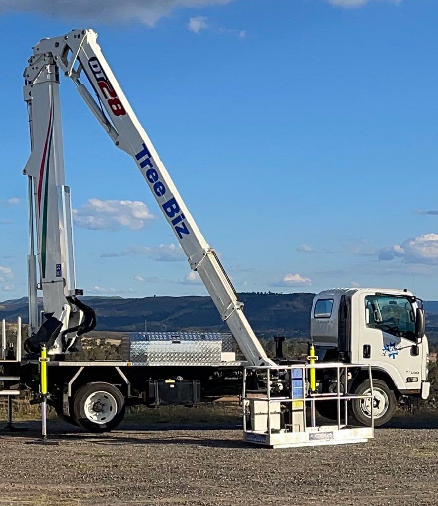 Tree Biz Truck - Arborists in the Lockyer Valley, QLD