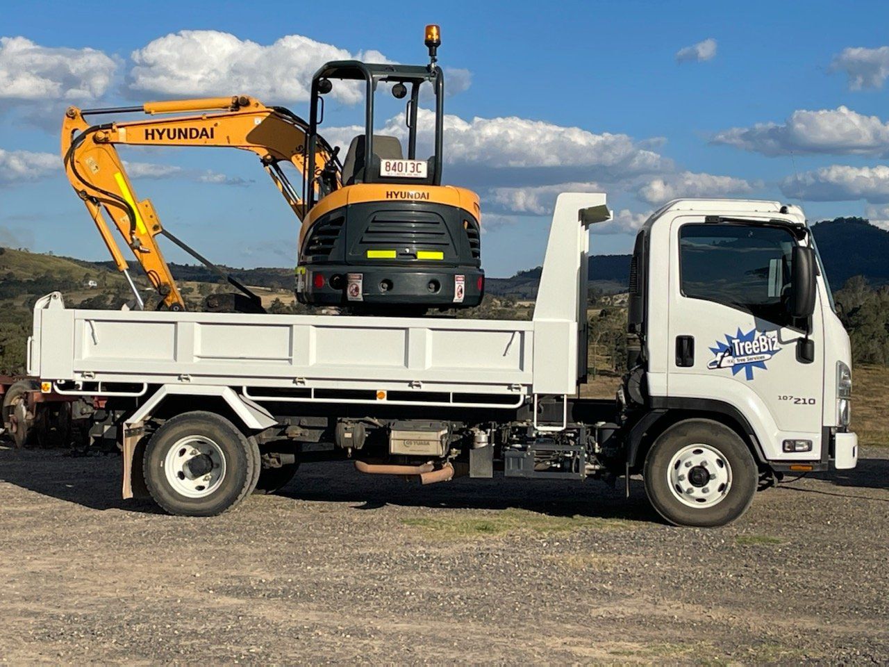 Man on the Tree Cutting Down the Tree - Tree Removals in the Lockyer Valley, QLD