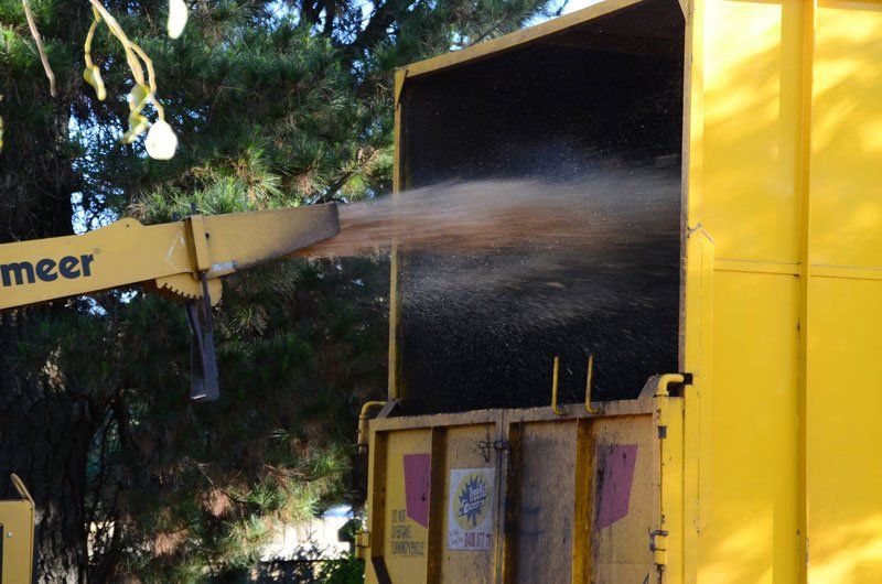 Yellow mulching machine—  Arborists in the Lockyer Valley, QLD