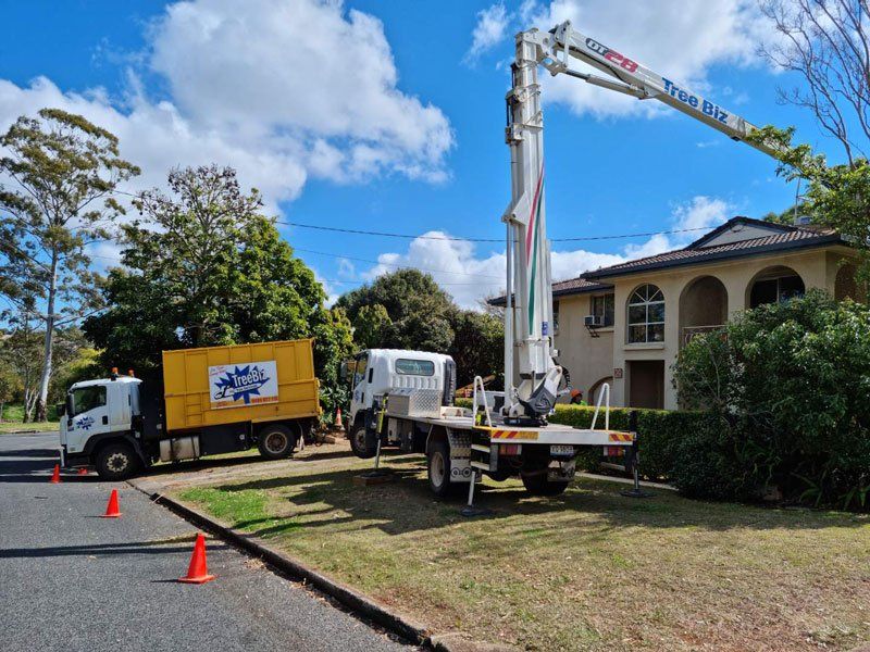 Large crane cutting branches —  Arborists in the Lockyer Valley, QLD