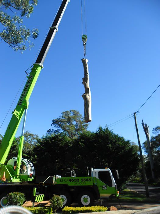 Lifting Cutted Tree  - Arborists in the Lockyer Valley, QLD