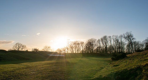 Sunset Around Gatton Park - Tree Maintenance in the Lockyer Valley, QLD