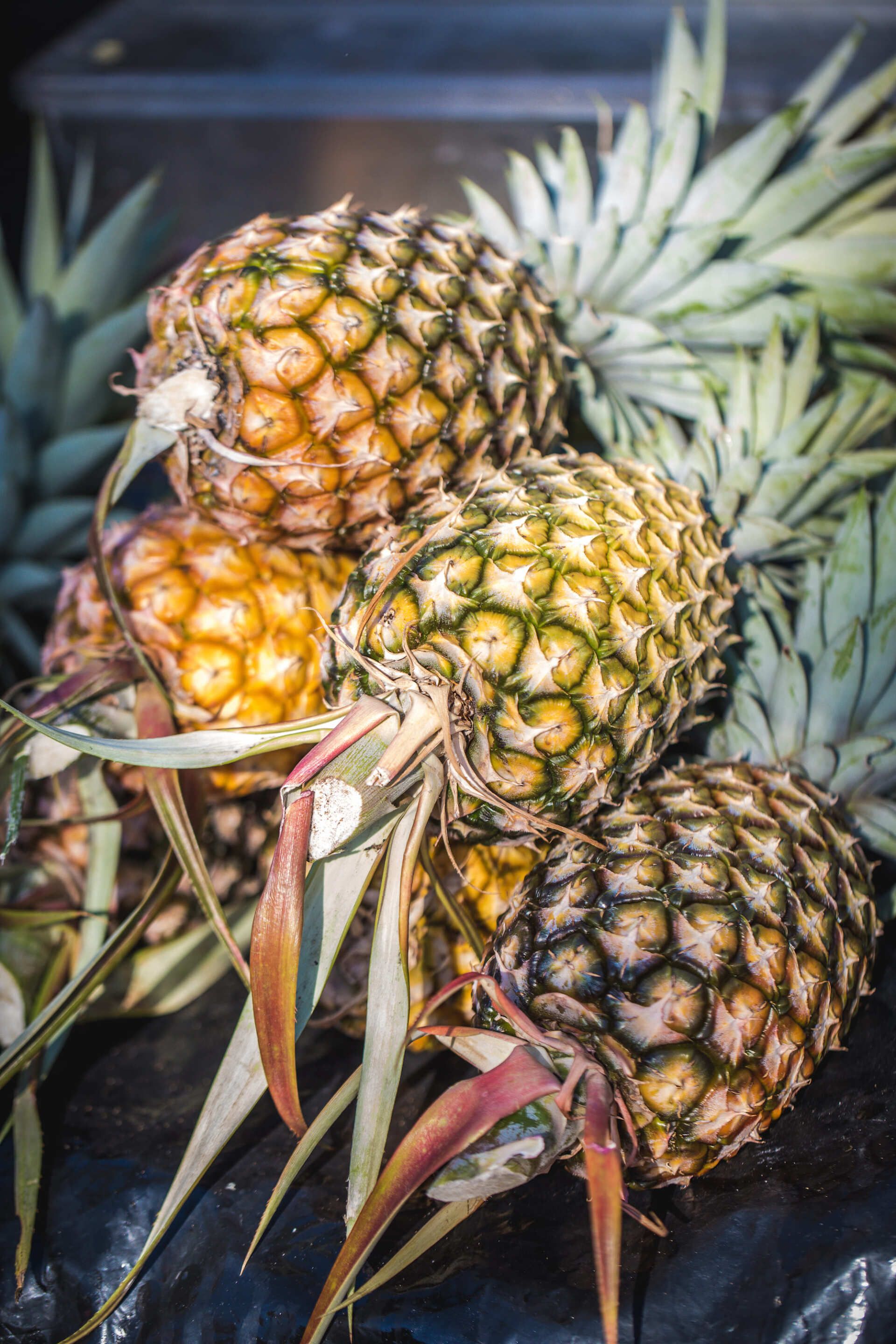 fresh fruit at tofo market