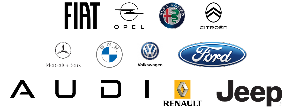 marchi trattati dalla concessionaria LG auto