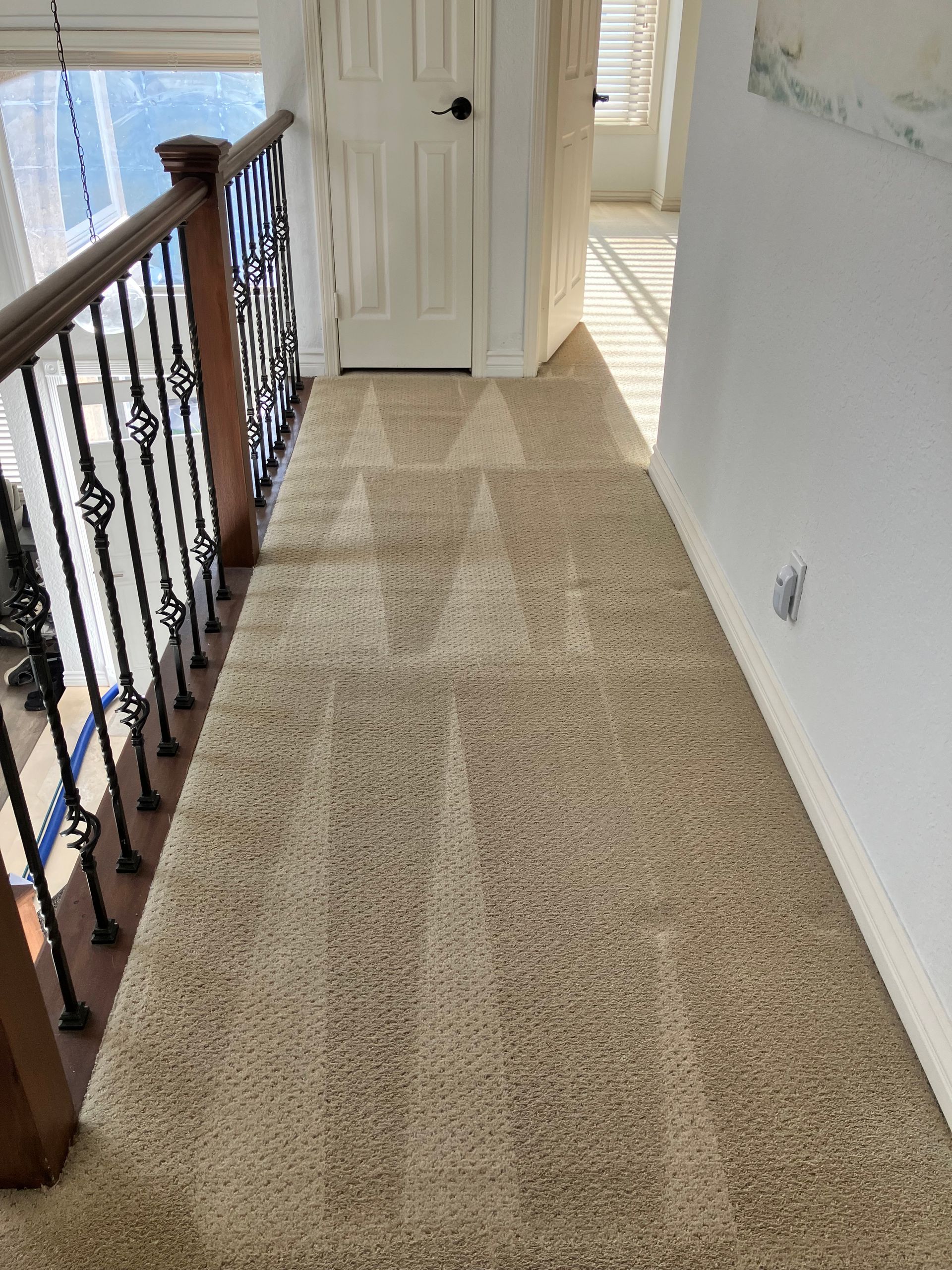 Carpeted upstairs hallway with white walls, a wooden stair railing, and sunlight on the floor