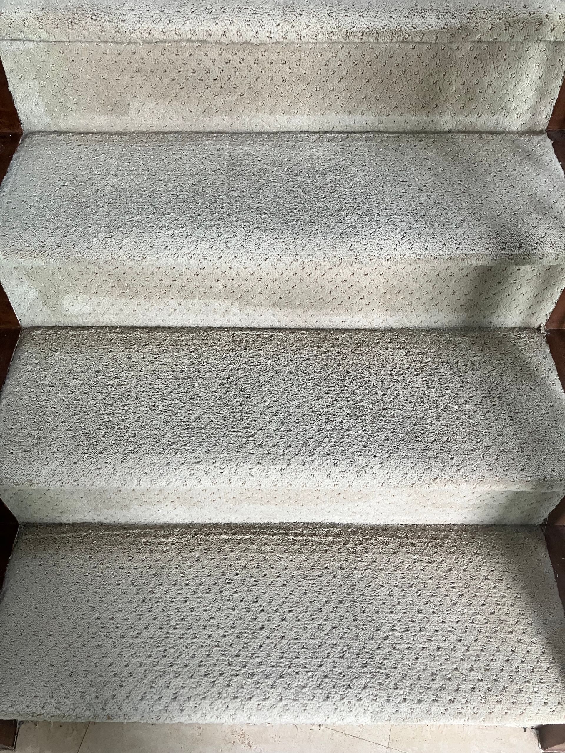 Speckled gray carpeted stairs viewed from above