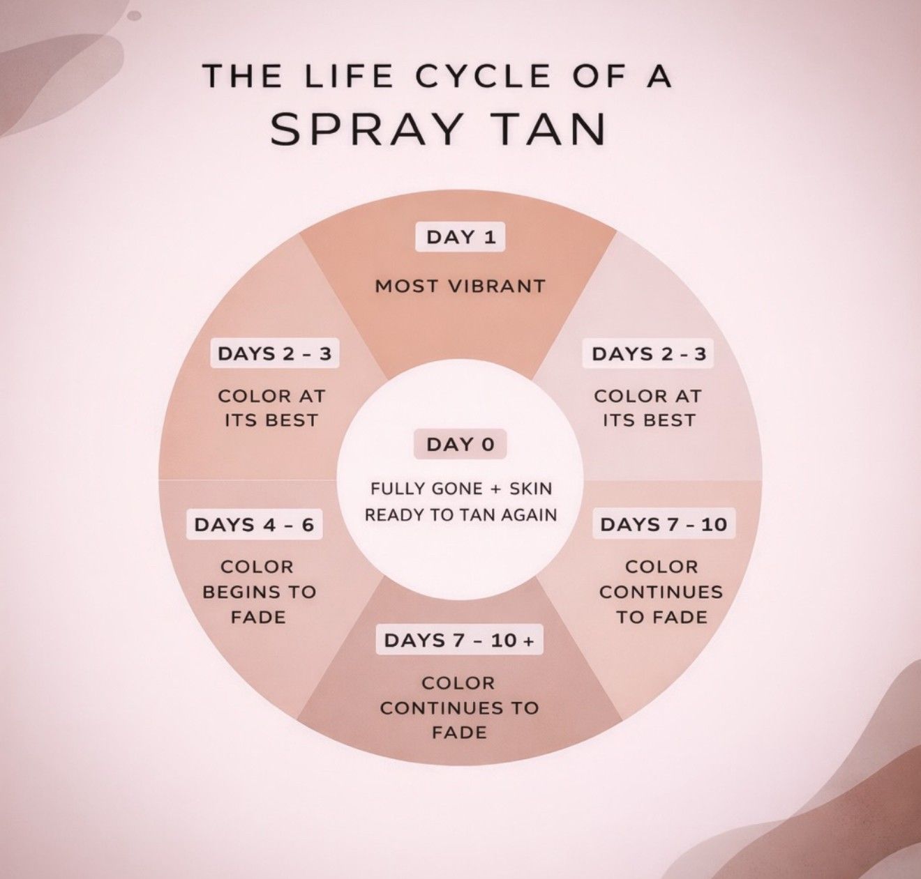 Diagram showing the life cycle of a spray tan, fading from day 1 to day 10+ in soft pink circles