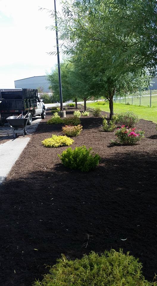 Truck And Tree Garden — Fort Wayne, IN — Adams Landscape Management Inc