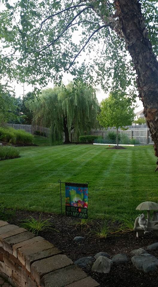 Good Grass — Fort Wayne, IN — Adams Landscape Management Inc