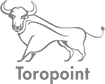 TORO POINT logo