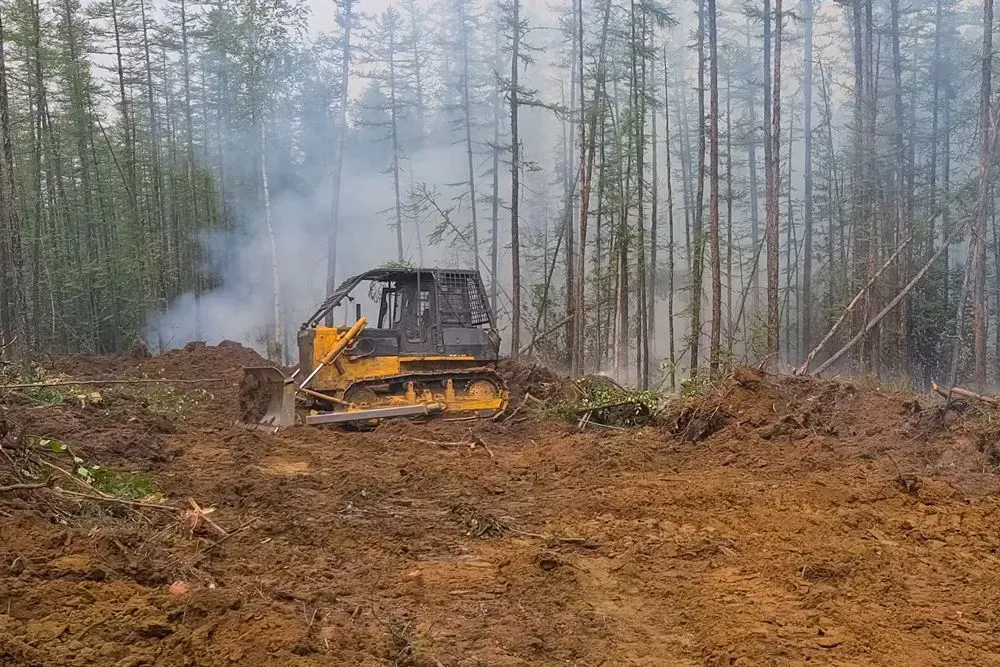 Yellow bulldozer clearing a forest, surrounded by trees and smoke.