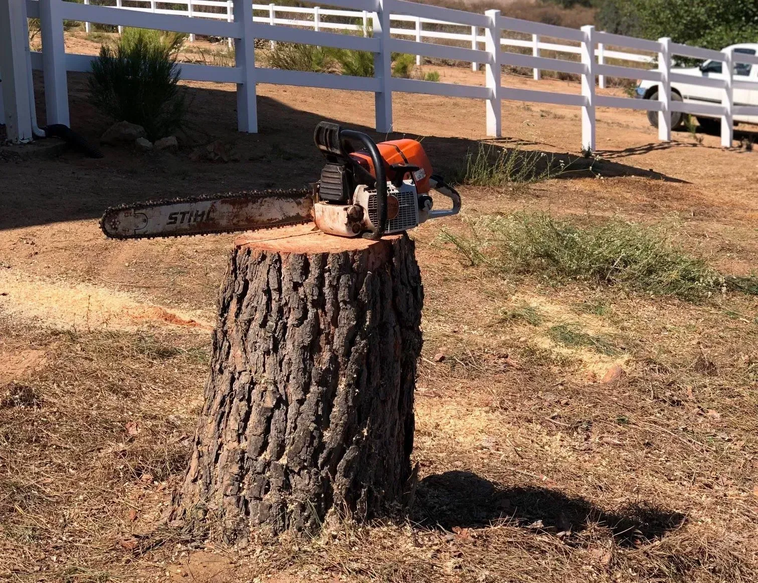 A chainsaw is sitting on top of a tree stump.