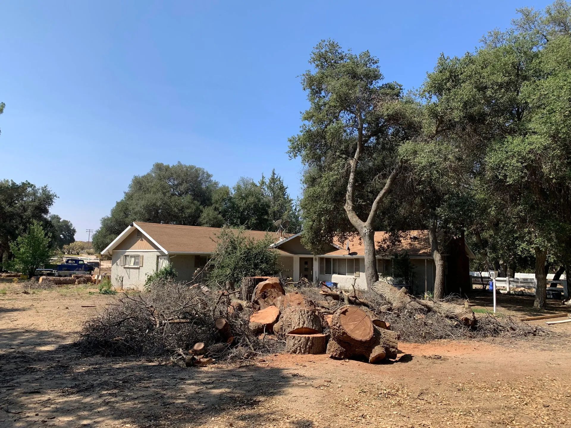 House surrounded by trees, with a pile of cut logs in the foreground under a bright blue sky.