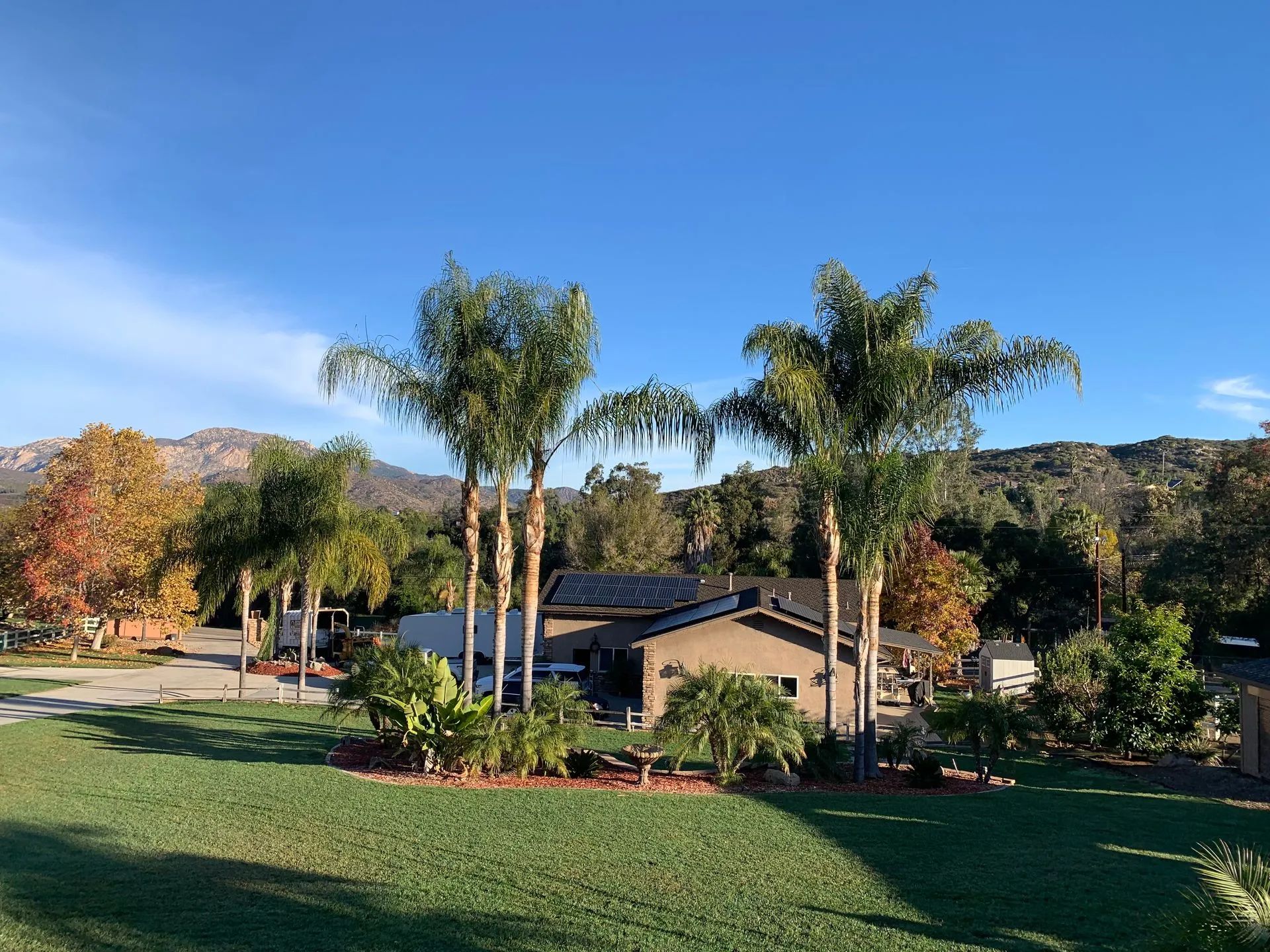 Sunny suburban house with palm trees, green lawn, and hills in the background