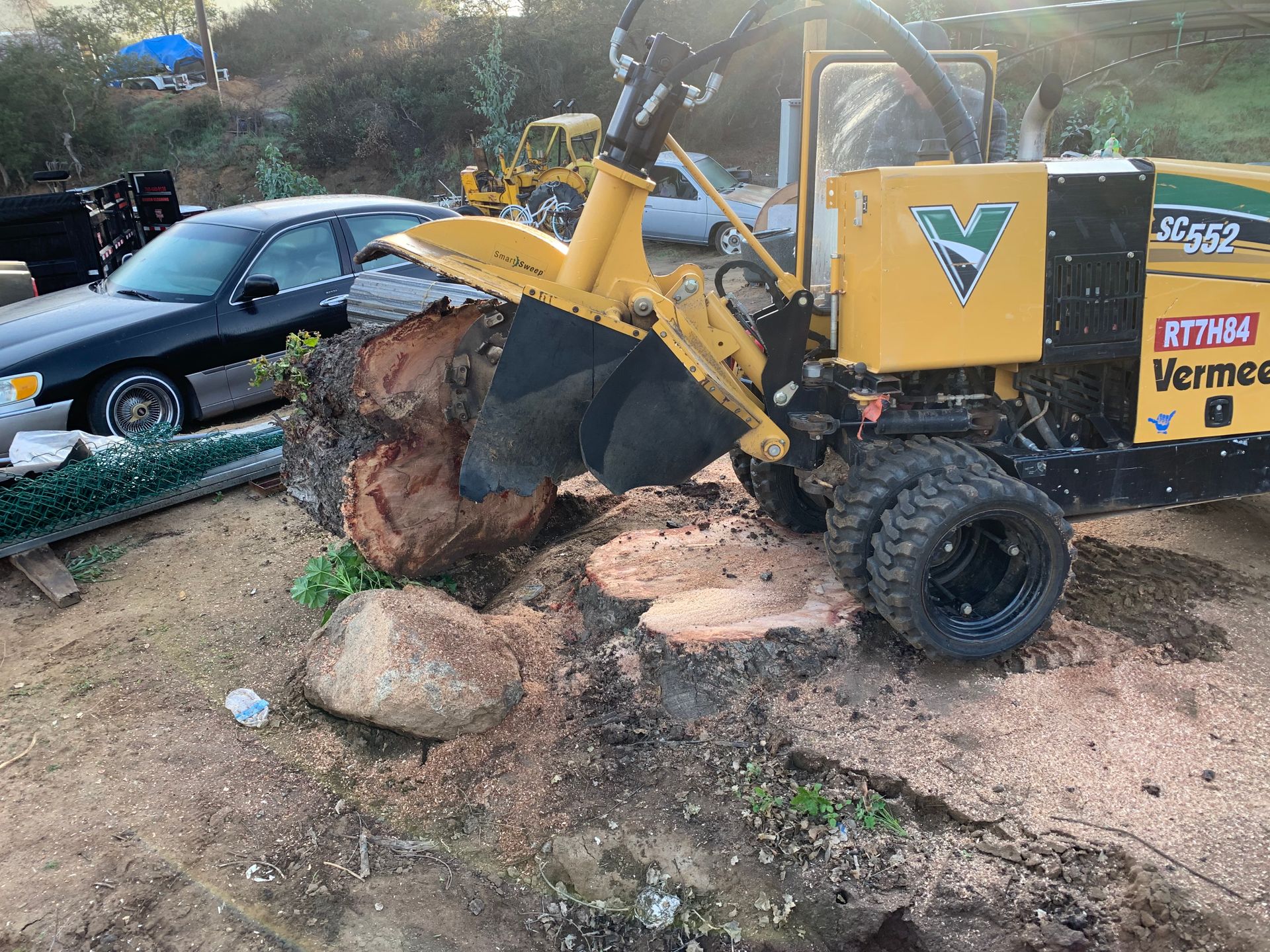 A yellow Vermeer stump grinder grinding a large tree stump into wood chips.