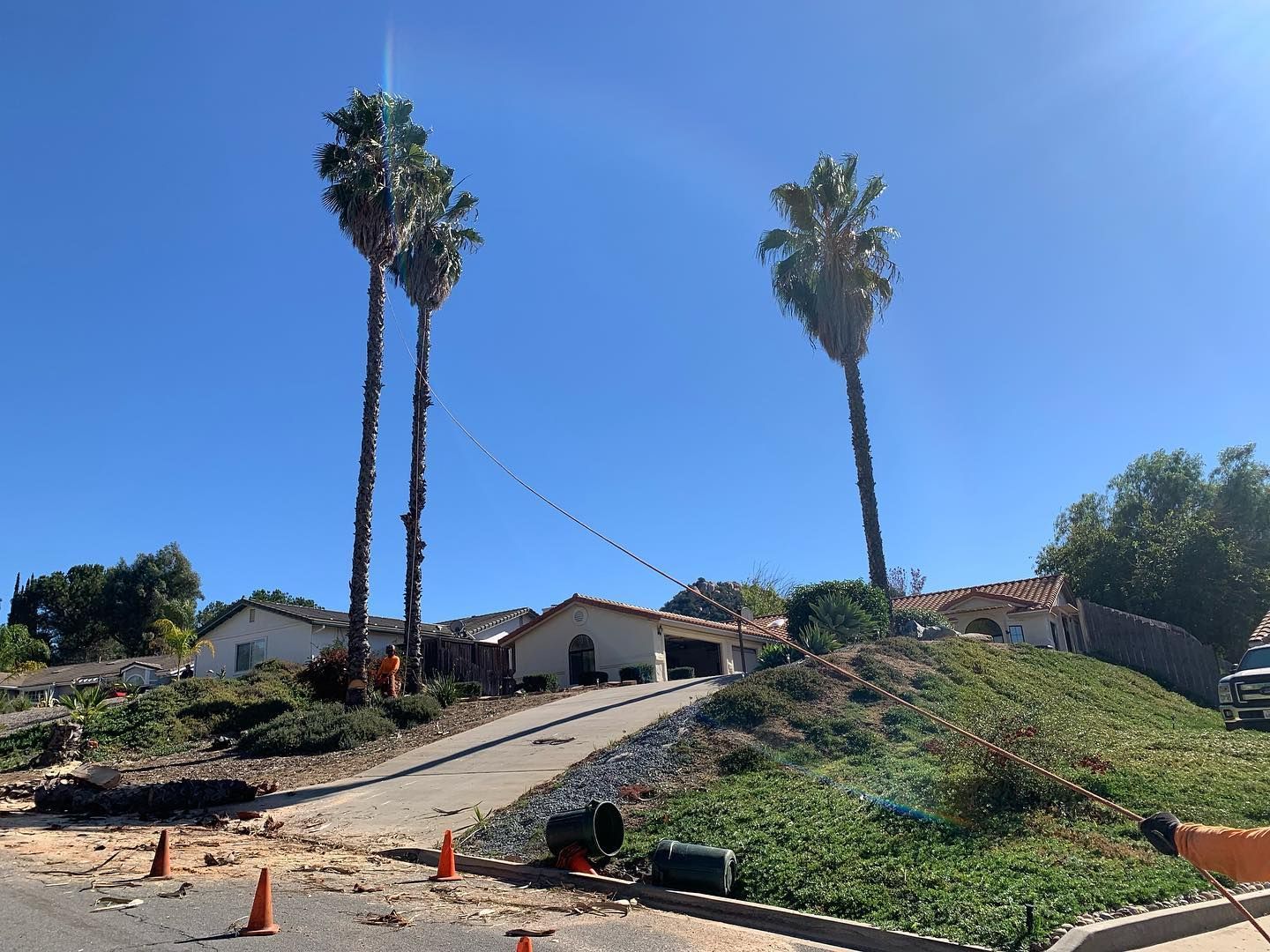 House with palm trees under a bright blue sky. Driveway, and landscaping are in front.
