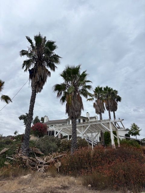 Palm trees in front of a white building on a hillside under a cloudy sky.