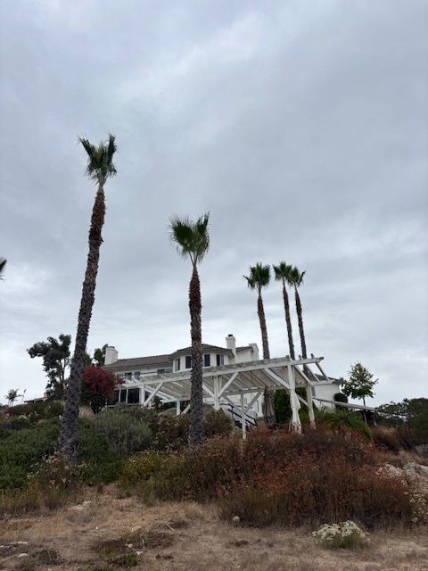 Palm trees frame a white coastal house on a hillside under a cloudy sky.