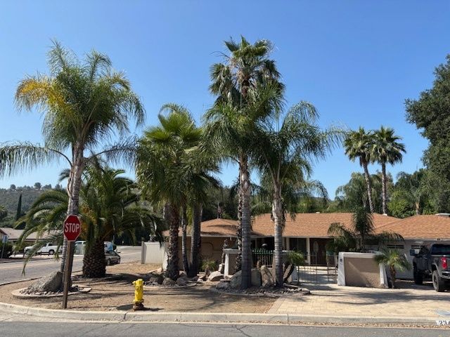 A stop sign is surrounded by palm trees in front of a house