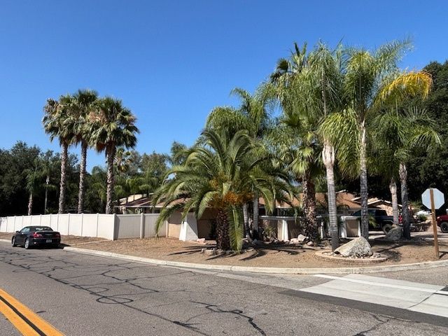 A street with palm trees on the side of it
