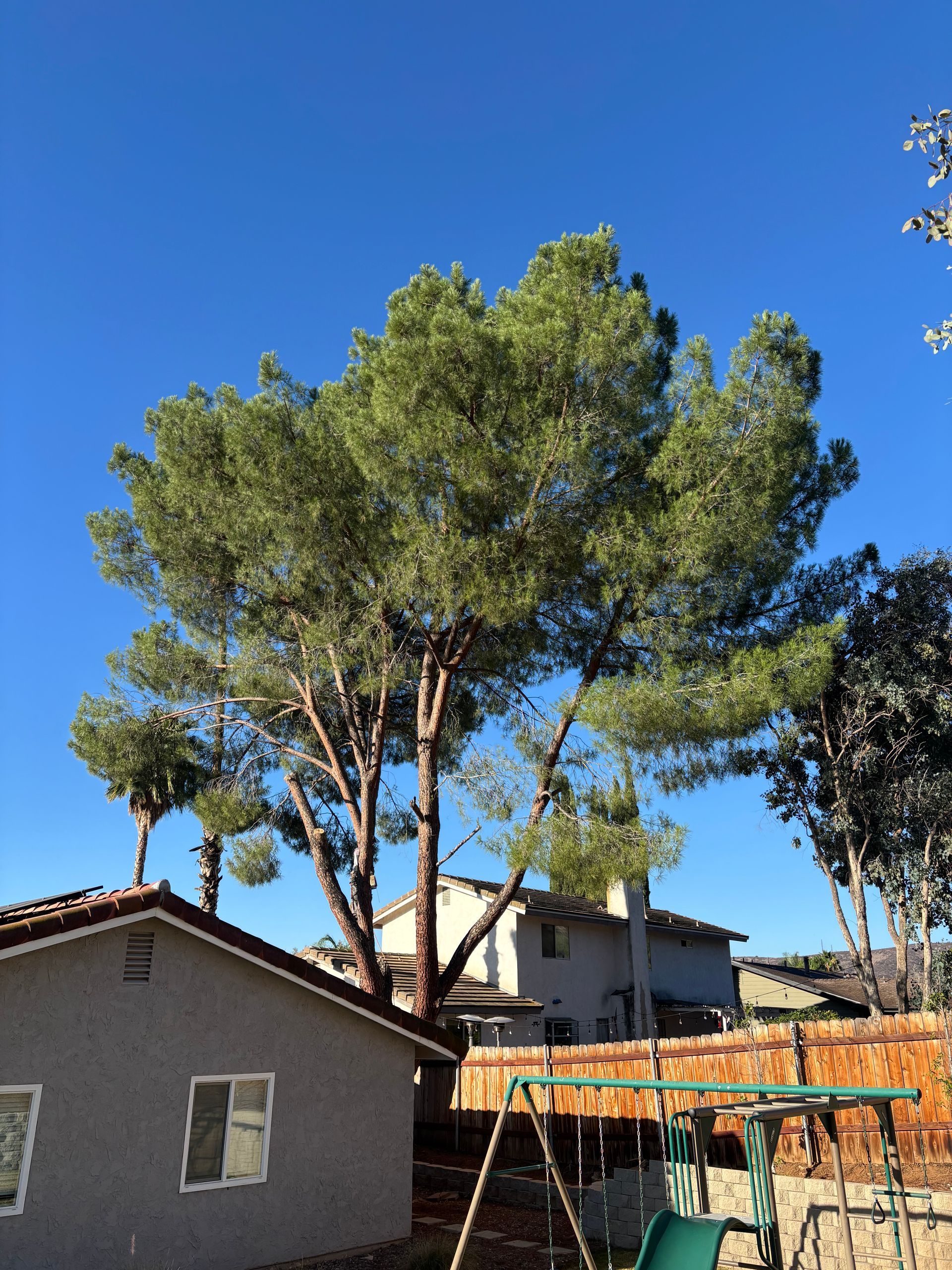 Palm trees in front of a white building on a hillside under a cloudy sky.