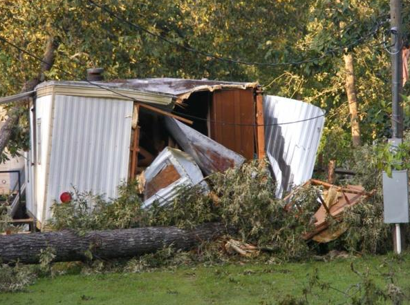 Collapsed white shed in a grassy yard, surrounded by fallen debris and trees