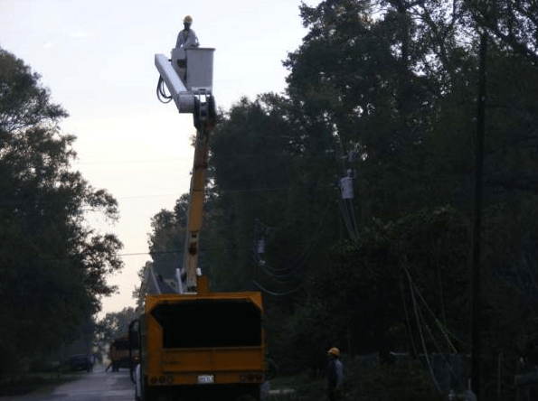Tree-trimming truck with an elevated worker trimming branches along a tree-lined road at dusk