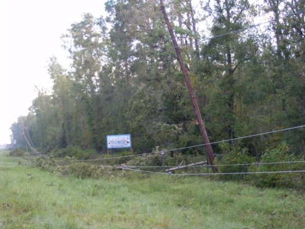 Grassy roadside with leaning utility poles, trees, and a small sign in the distance