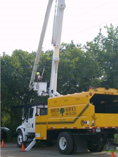 Yellow utility truck with raised boom working beside trees and traffic cones