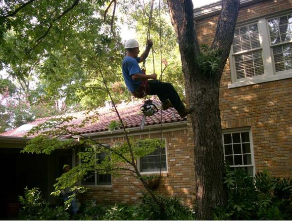 Worker in a hard hat descending a rope beside a brick house and tree.