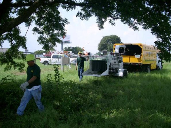 Workers near overturned truck and yellow utility vehicle in a grassy field under trees