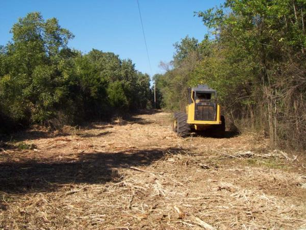 Yellow construction vehicle on a dirt path in a wooded area
