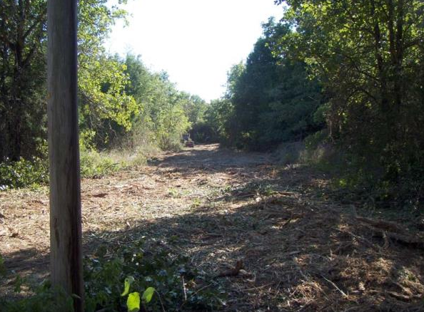 Dirt path through a wooded area with trees and brush on both sides, sunlight ahead