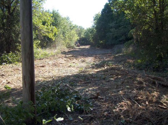 Cleared dirt trail through wooded area with a utility pole in the foreground