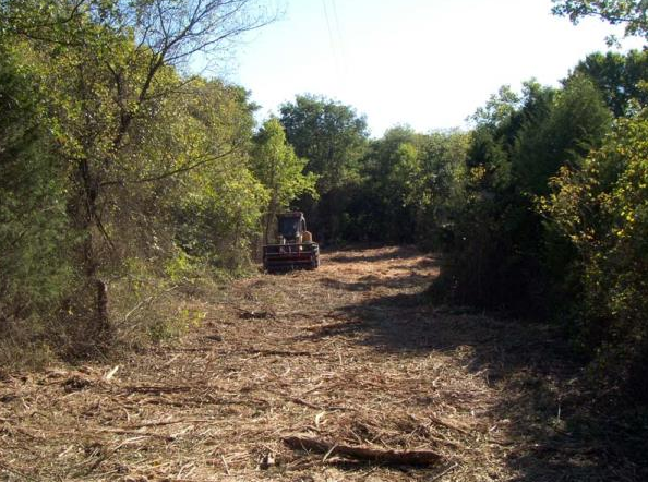ATV driving down a dry dirt trail surrounded by green trees and brush