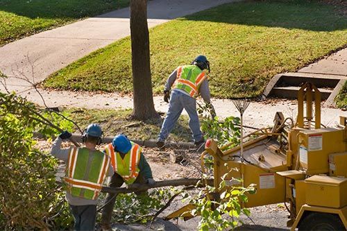 Road crew in safety vests clearing debris near a sidewalk with a yellow machine.