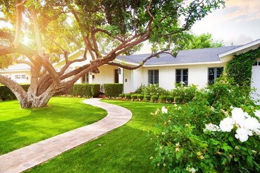 Sunlit white house with a curved walkway, green lawn, and flowering trees and shrubs