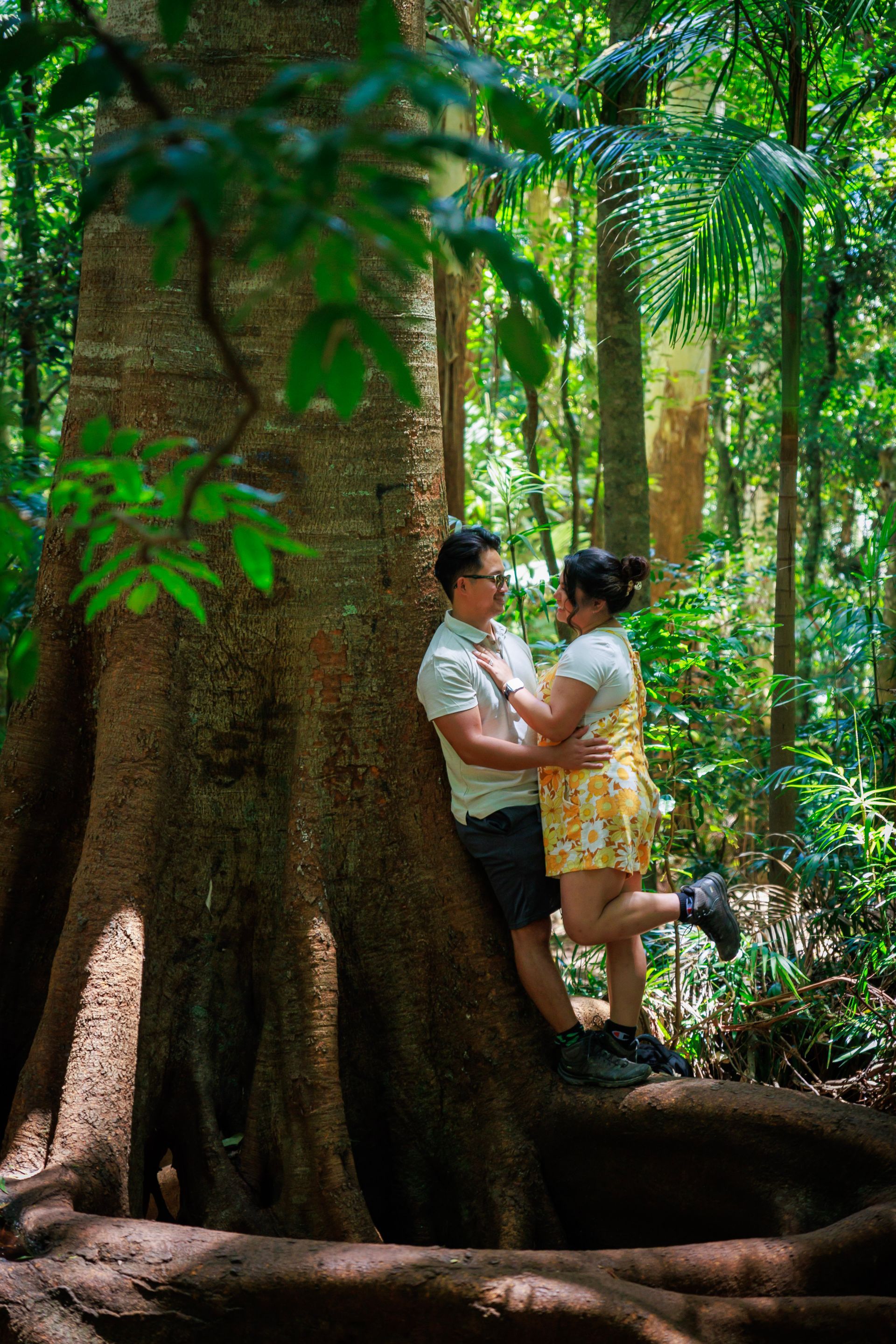 Tamborine Mountain Engagement Photos