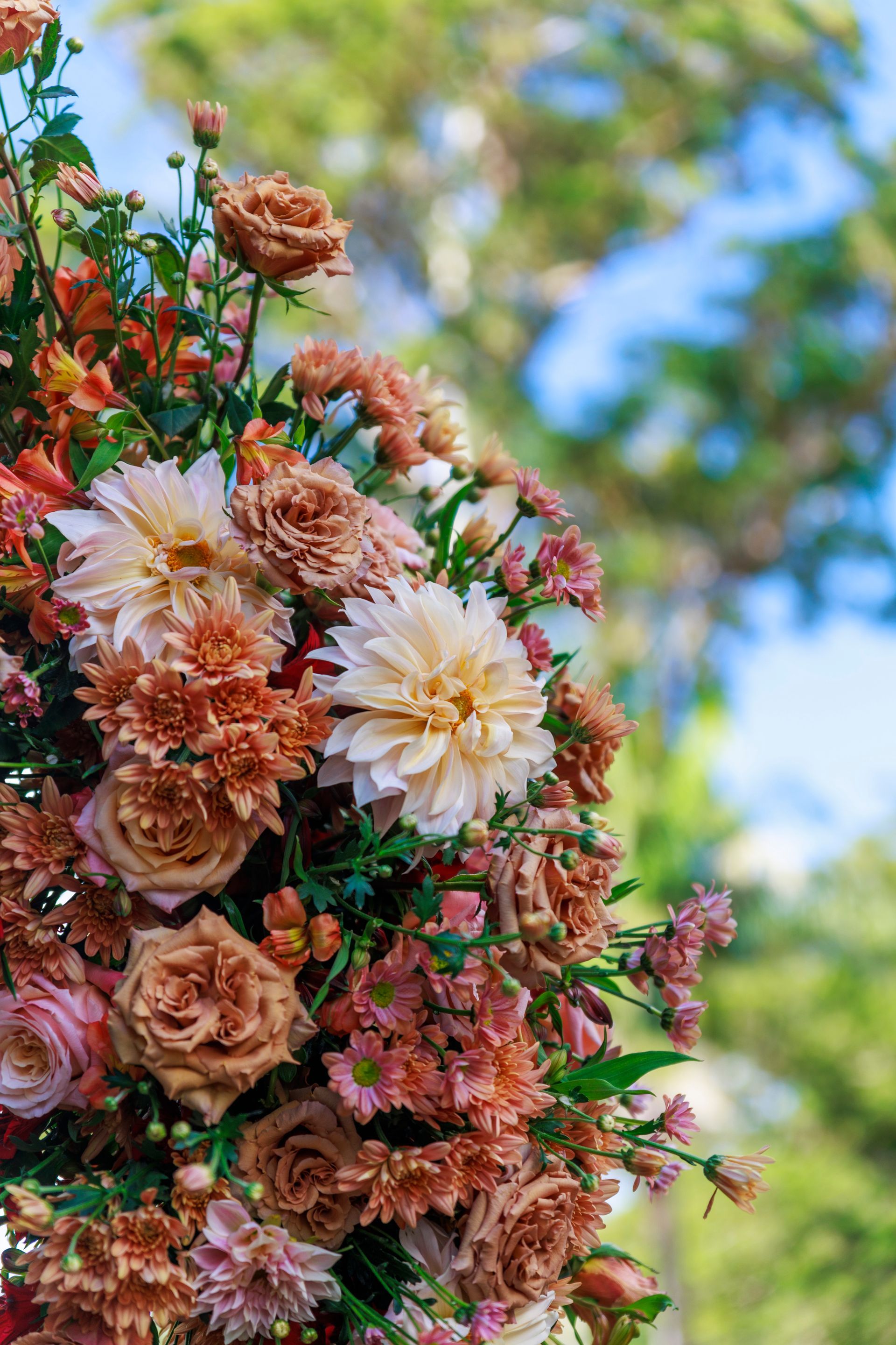 a close up of a bouquet of flowers with trees in the background .
