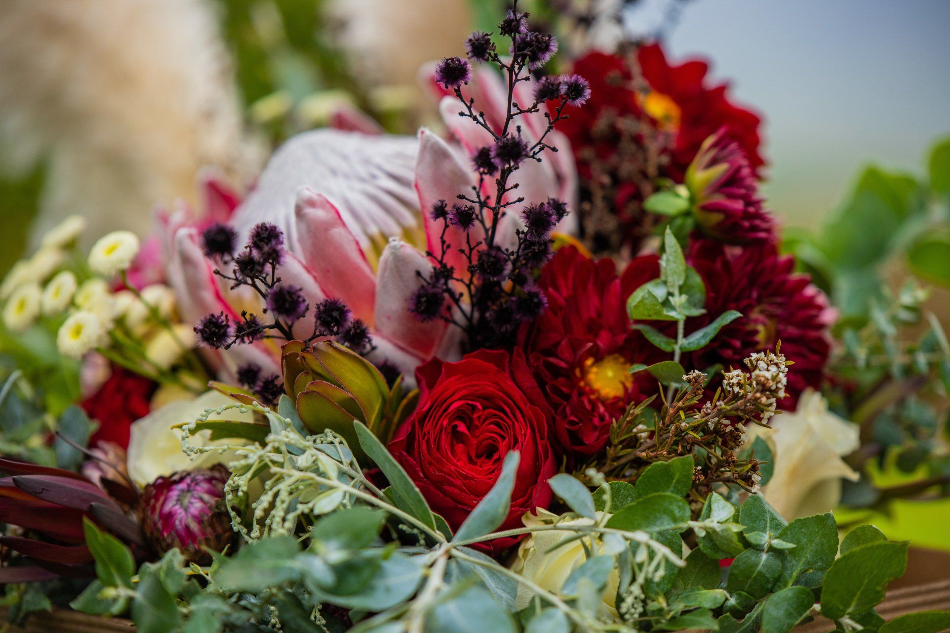 queensland wedding photographer
